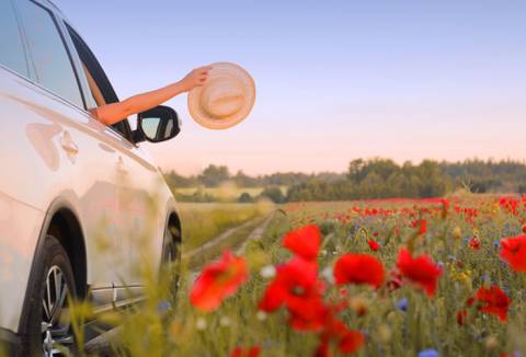 Spring destinations in Greece: Road trips that will enchant you!